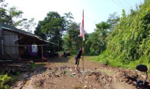 AddText_08-17-02.28.36