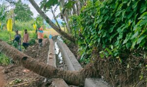 AddText_11-04-12.02.56