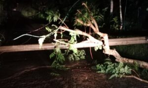 AddText_02-25-04.47.24