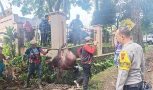 AddText_02-26-04.45.26