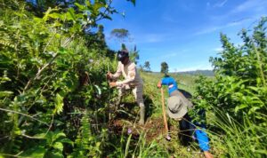 AddText_04-11-03.00.40